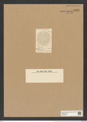 Coscinodiscus tabularis Grun. (de-Toni-Nr.: Genus 202, Species 5105) Zeichnungen Sammlung Grunow Nr. 8866 (NHMW-BOT-W0378504)